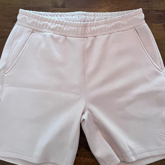 Bad Birdie Men’s shorts XL - Picture 2 of 9